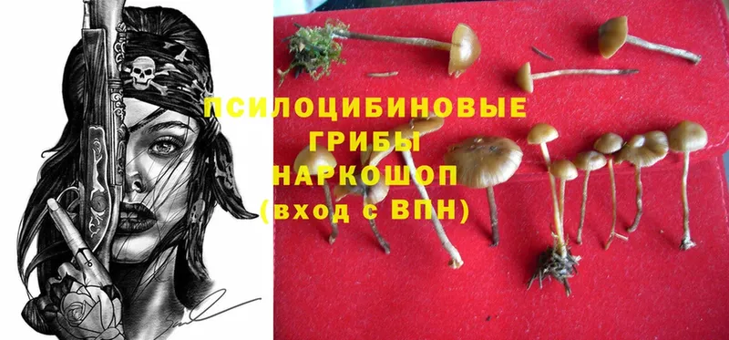 Галлюциногенные грибы MAGIC MUSHROOMS  Вилючинск 